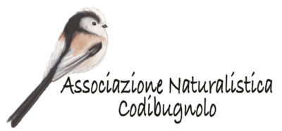 Associazione Naturalistica Codibugnolo